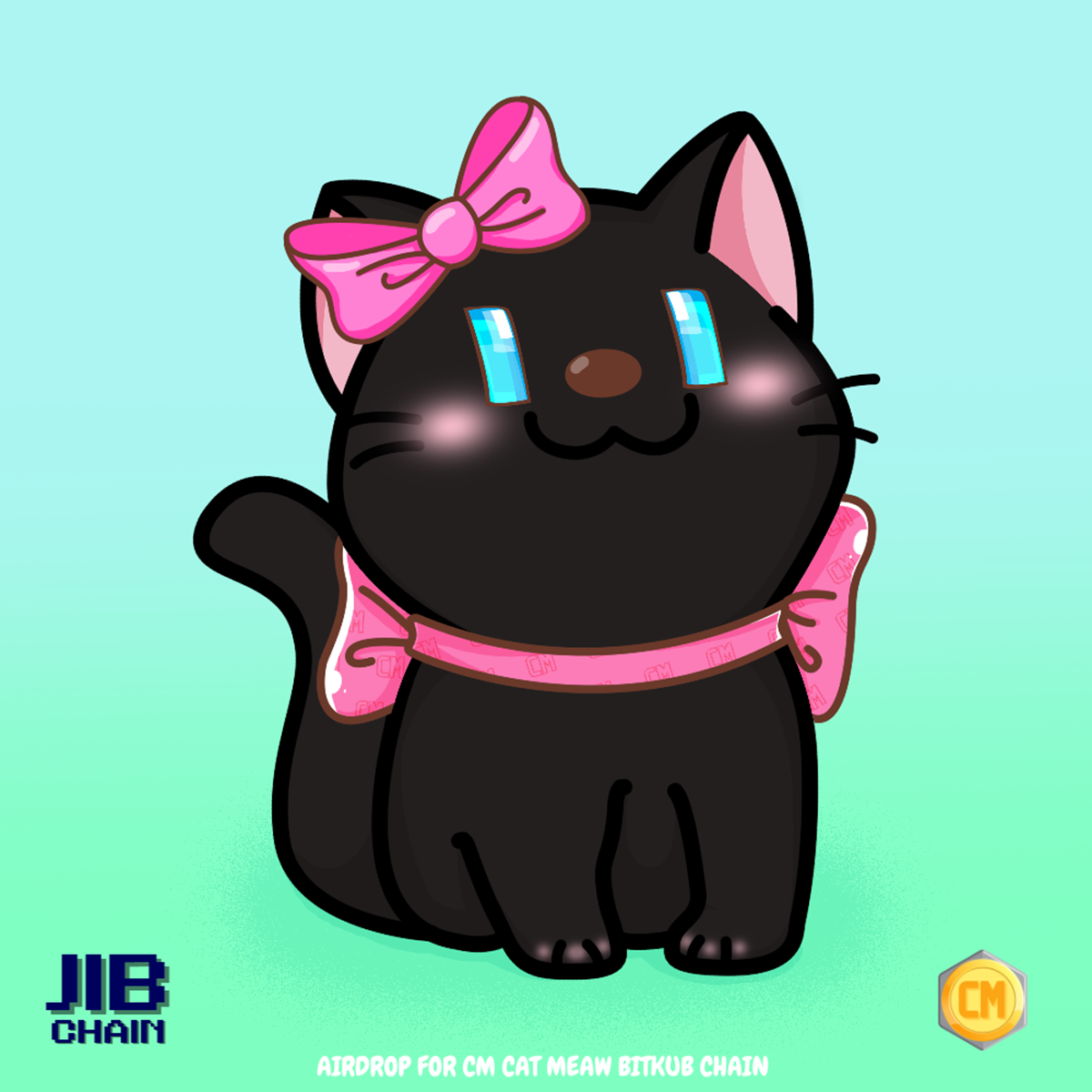 Cat Meaw Ory JIB JIB